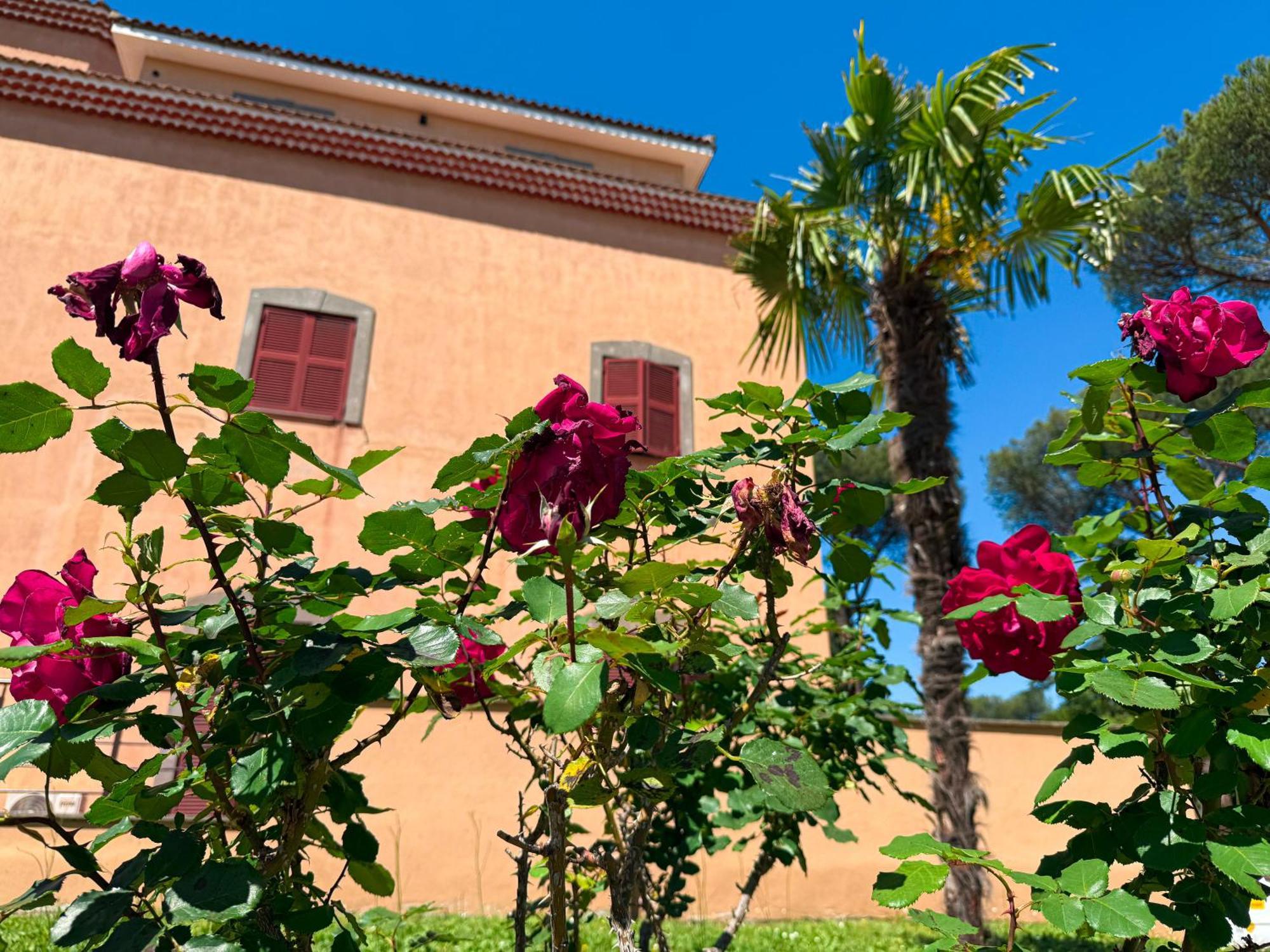 Villa Due Leoni - Casa Per Ferie — Photos 3